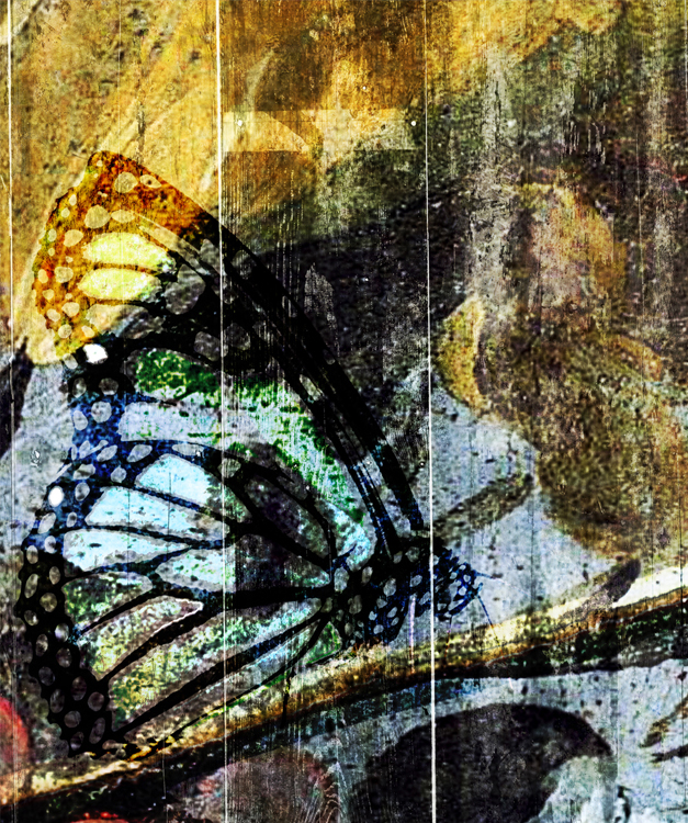 Wallpaper Butterfly Garden  (Mural)