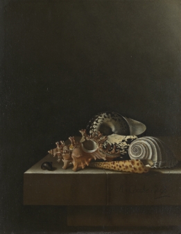 Schelpen op een stenen plint - Behang