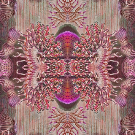 Wallpaper Fantasy pink