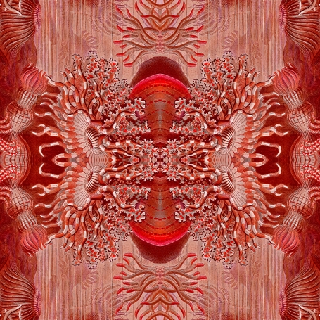 Wallpaper Fantasy red