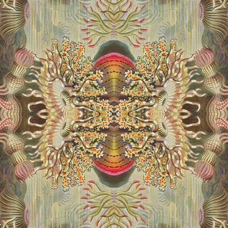 Wallpaper Fantasy yellow