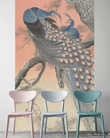 2 peacocks on a tree branch - Wallcovers