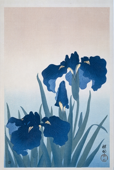 Irises blue - Wallcovers