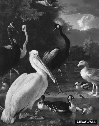 Pelican Black/White - Wallcover