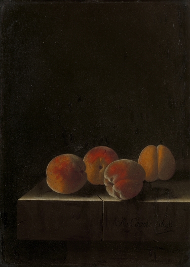 Four apricots on a stone plinth - Wallcover