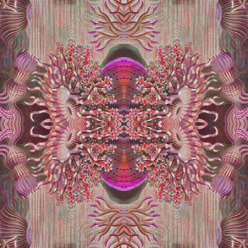 Wallpaper Fantasy pink