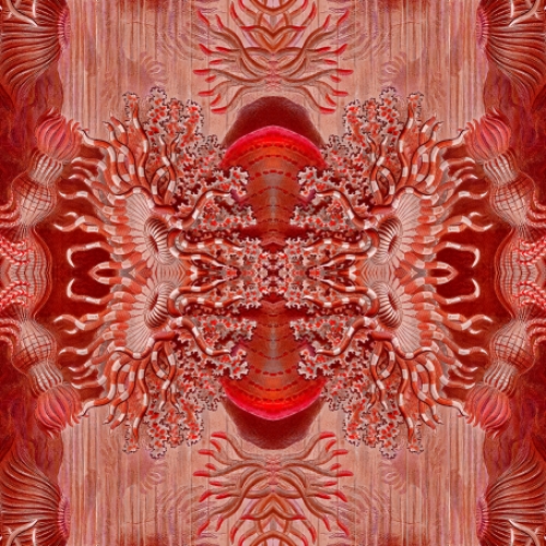 Wallpaper Fantasy red