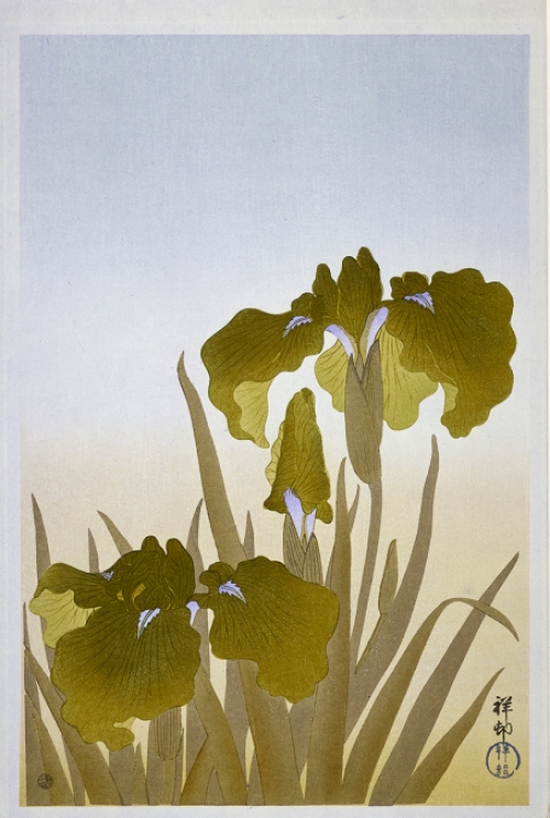 Irissen Yellow - Behang
