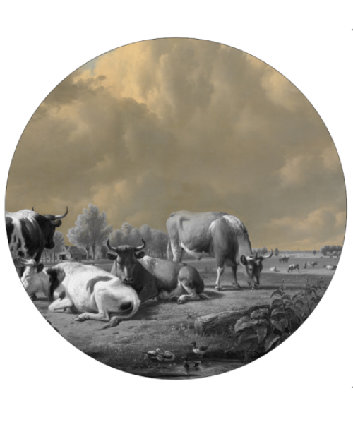 Cows PVC rug  300 cm